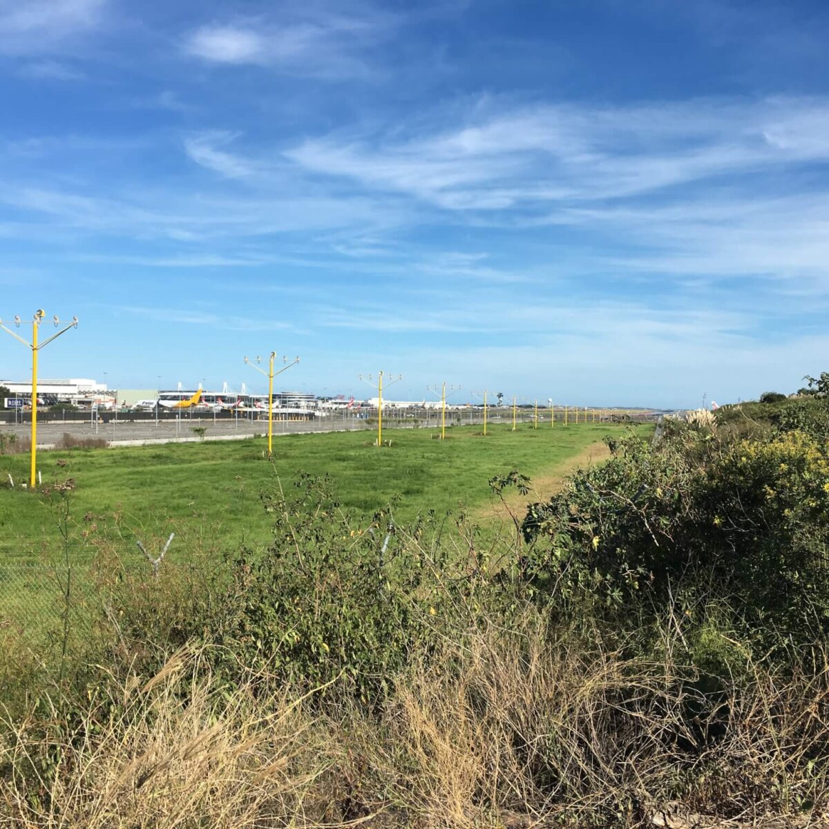 View from Swamp Road Tempe